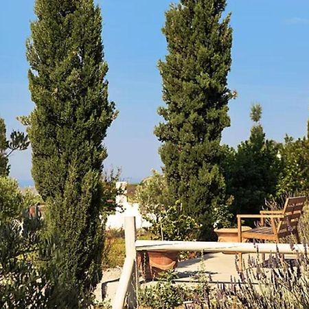 Christou Estate & Villas 피르고스 외부 사진